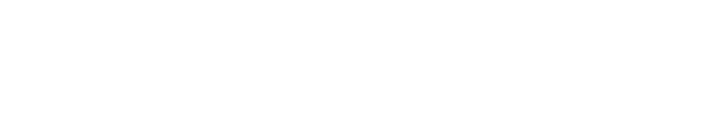 Conzeptio